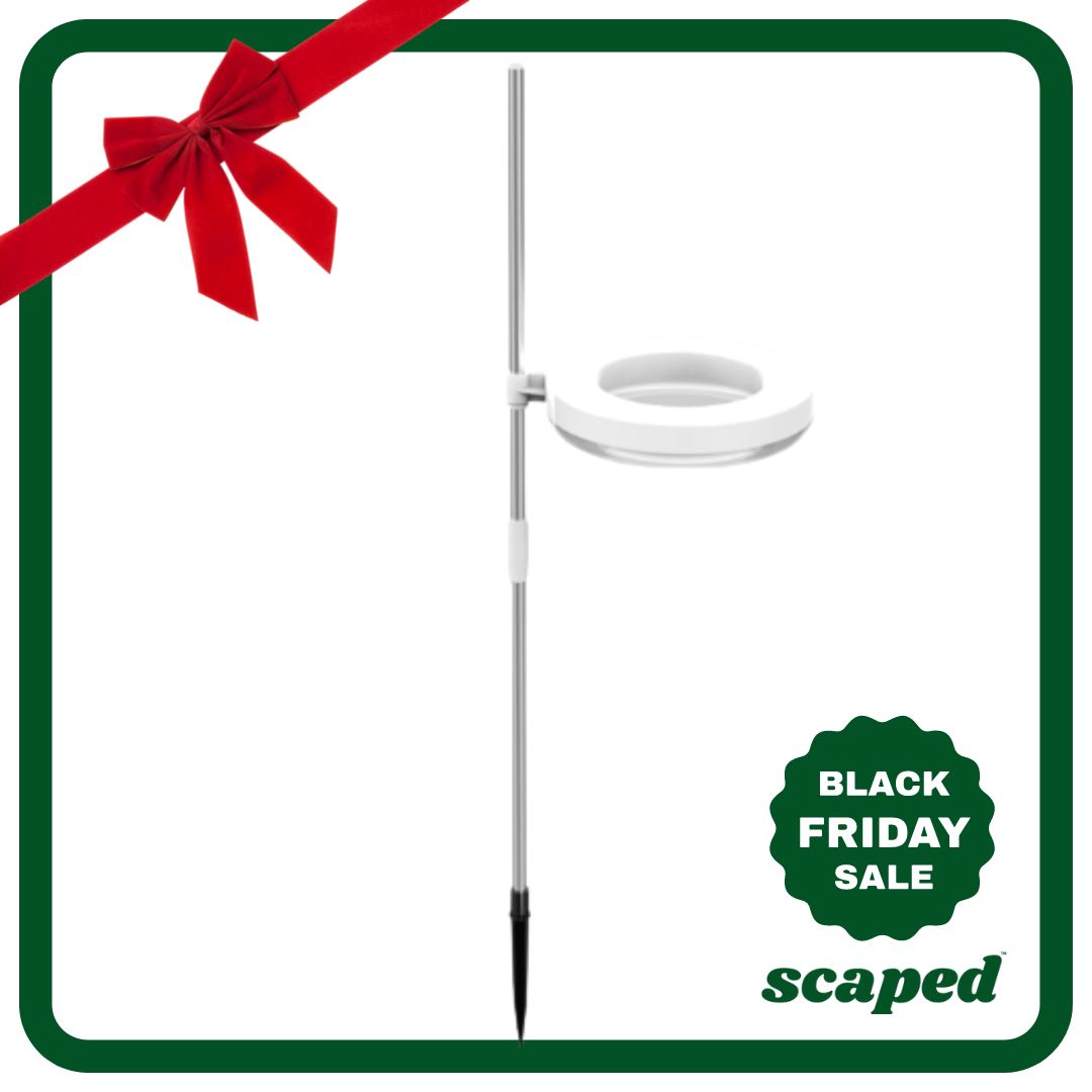 Scaped™ Sun Crown - Black Friday (Early Bird)