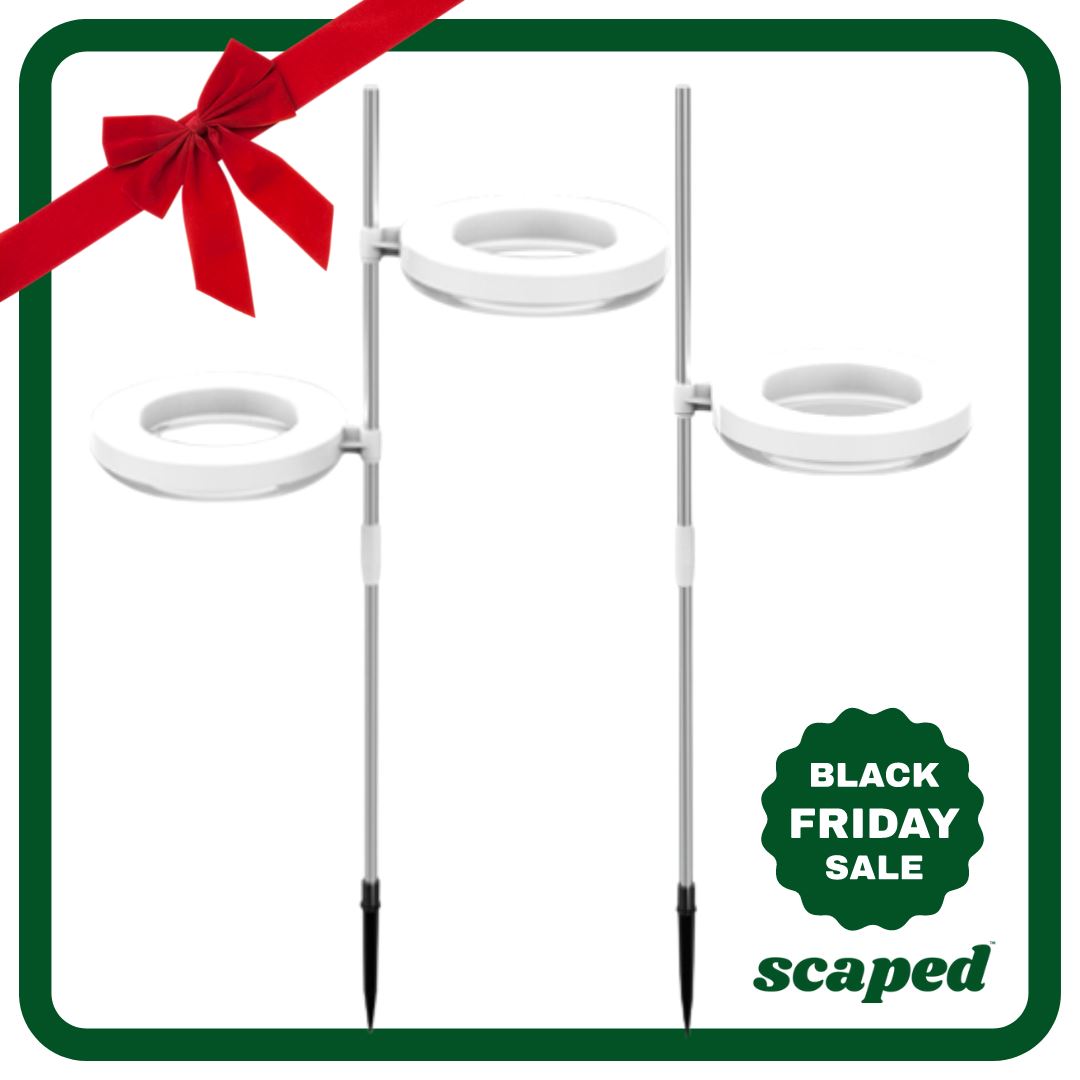 Scaped™ Sun Crown - Black Friday (Early Bird)