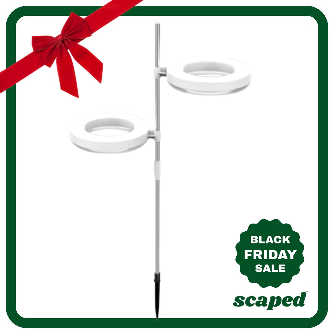 Scaped™ Sun Crown - Black Friday (Early Bird)